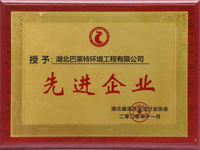湖北省清洗保潔行業(yè)協(xié)會(huì )先進(jìn)企業(yè).png
